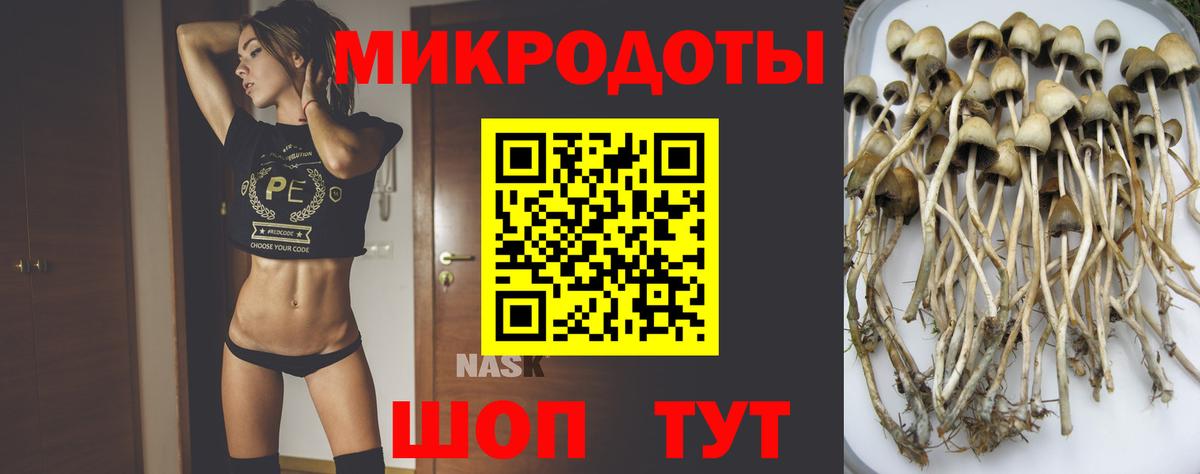 Галлюциногенные грибы мицелий  Вход с VPN  Псилоцибиновые грибы мухоморы  Гусь-Хрустальный 